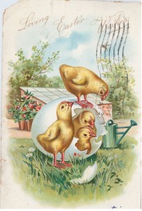 From the delicately colored chicks  to the flowering shrubs in the background, this German-printed Raphael Tuck & Sons card depicts a lush vision of springtime. It’s postmarked March 28, 1907, Broad Street Station, Philadelphia. Karen Knapstein image, courtesy of Antique Trader